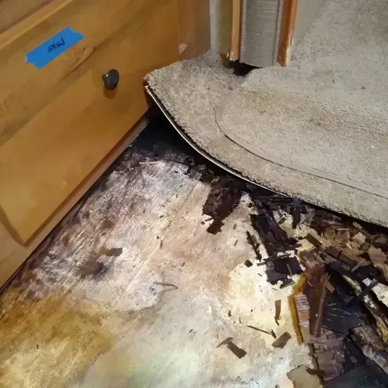 Wood Floor Water Damage in Bryson City, NC